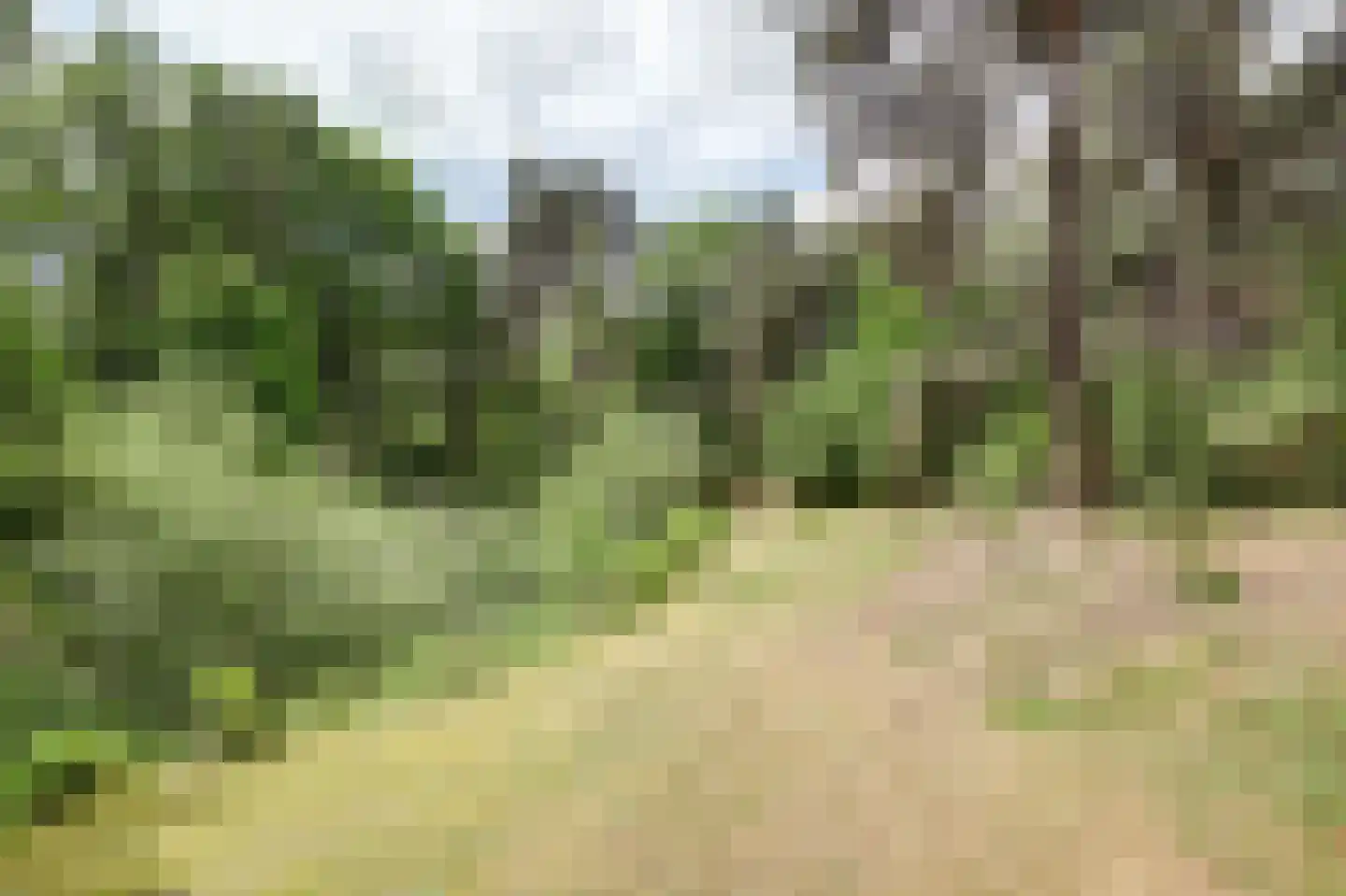 Helenaveenseweg 41 Grashoek thumbnail 61