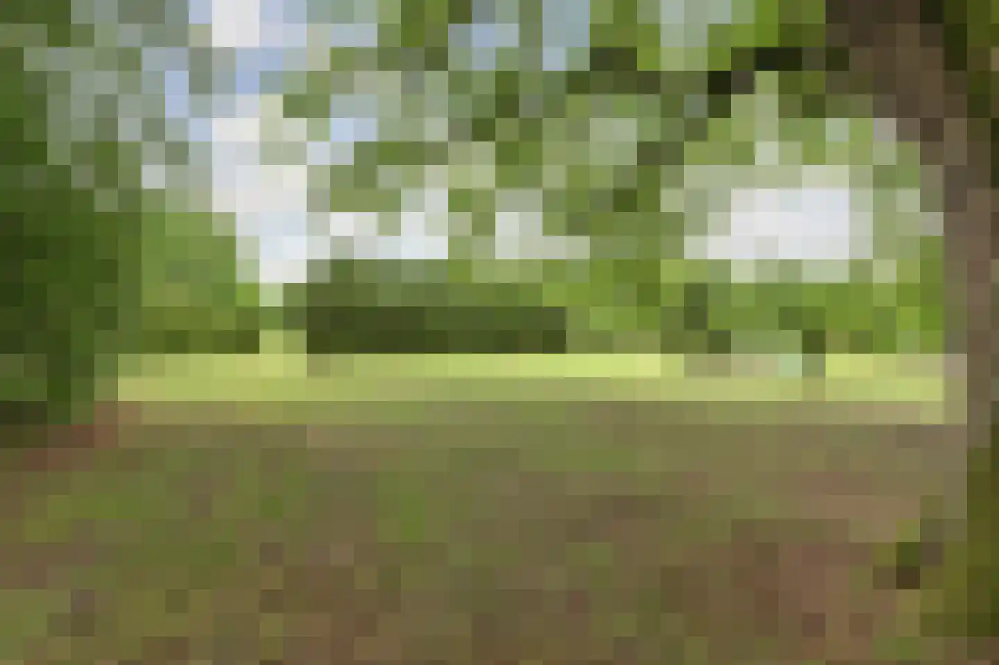 Helenaveenseweg 41 Grashoek thumbnail 67