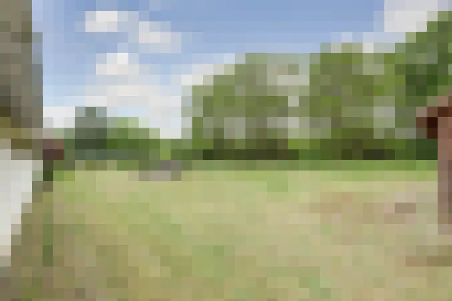 Helenaveenseweg 41 Grashoek thumbnail 69