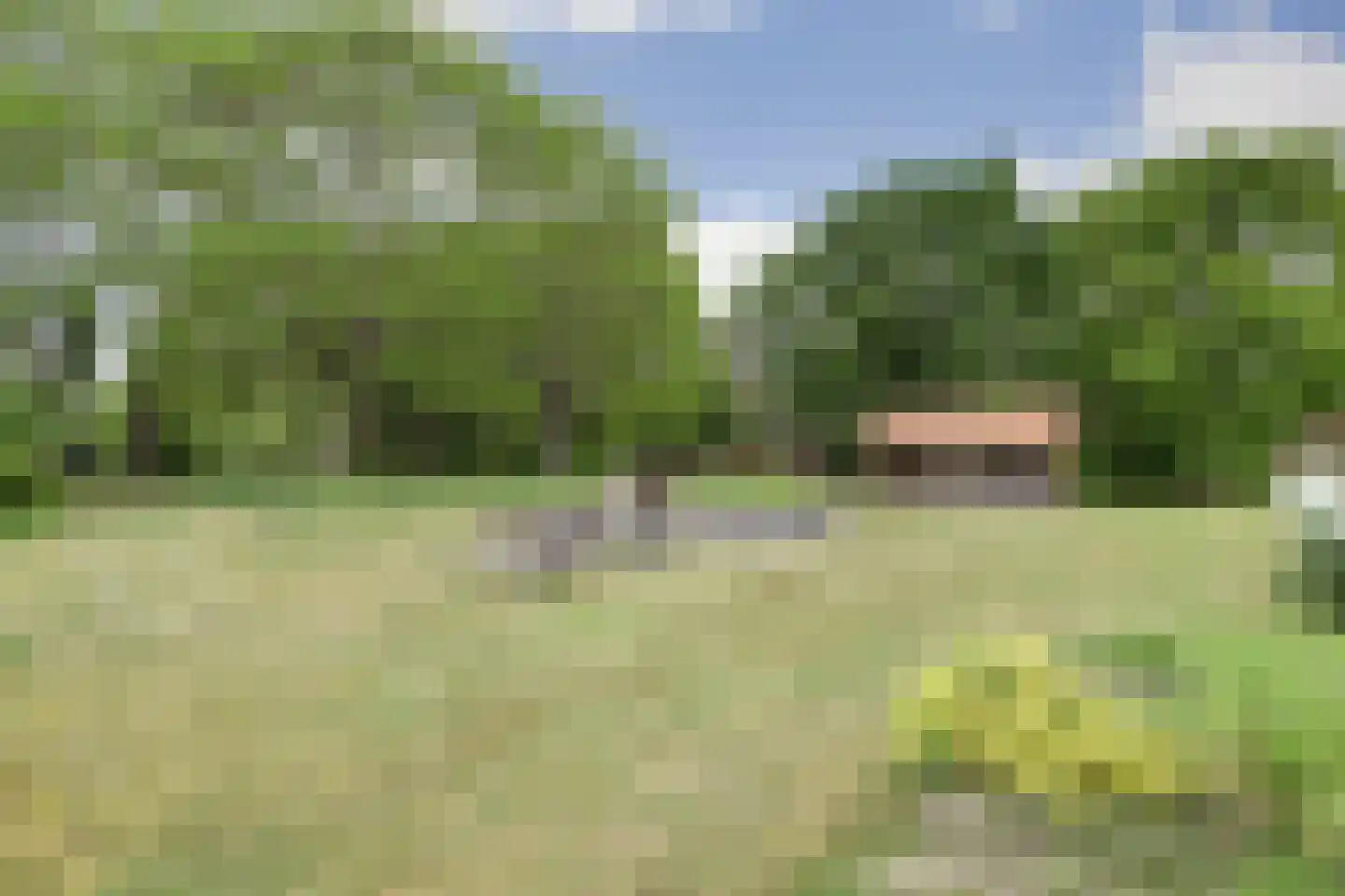 Helenaveenseweg 41 Grashoek thumbnail 70
