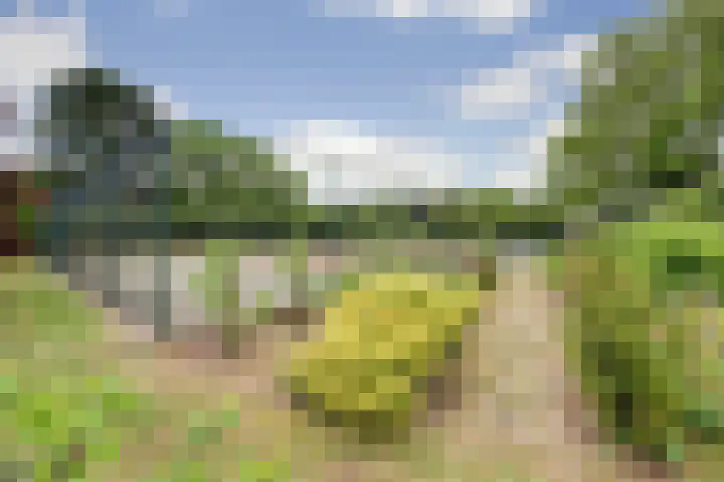 Helenaveenseweg 41 Grashoek thumbnail 71