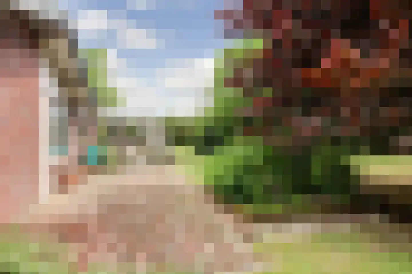Helenaveenseweg 41 Grashoek thumbnail 73