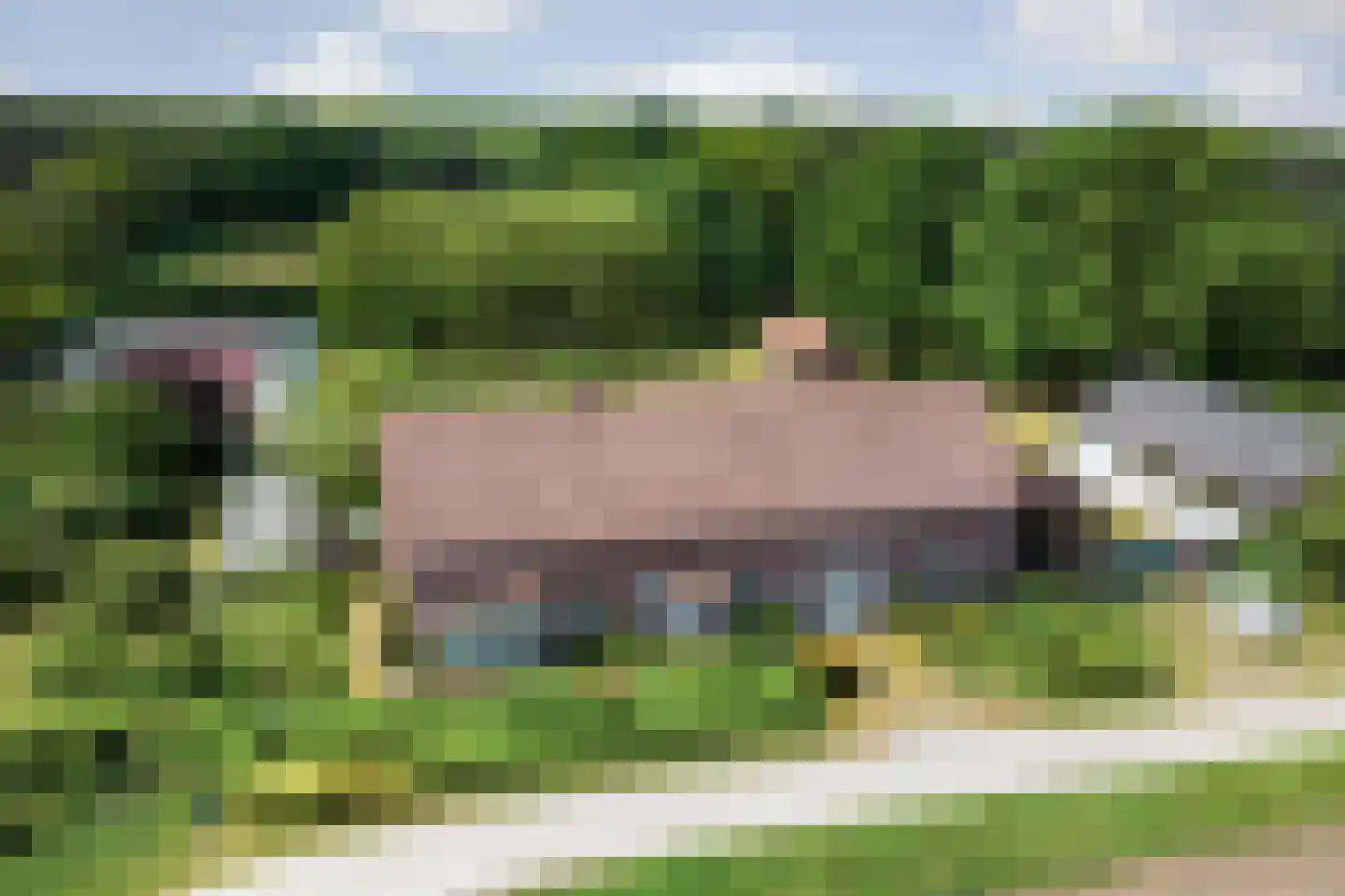 Helenaveenseweg 41 Grashoek thumbnail 75