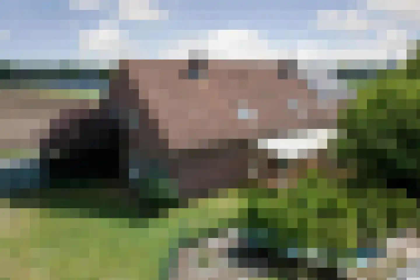 Helenaveenseweg 41 Grashoek thumbnail 78