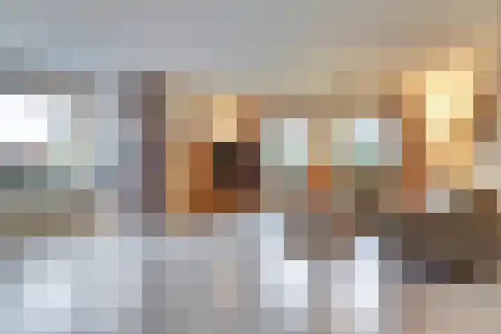 Helenaveenseweg 69 Grashoek thumbnail 10