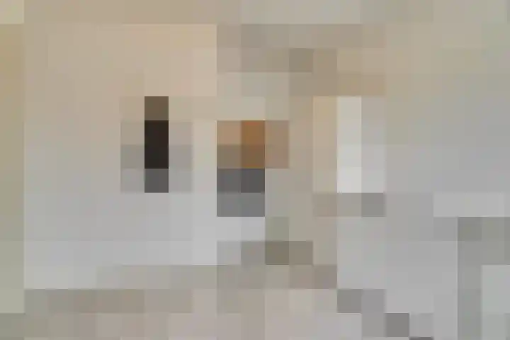 Helenaveenseweg 69 Grashoek thumbnail 18