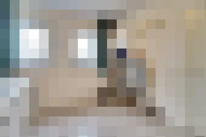 Helenaveenseweg 69 Grashoek thumbnail 19