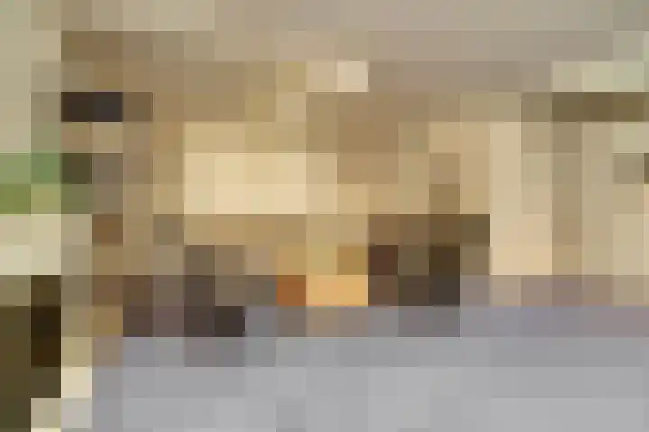 Helenaveenseweg 69 Grashoek thumbnail 28