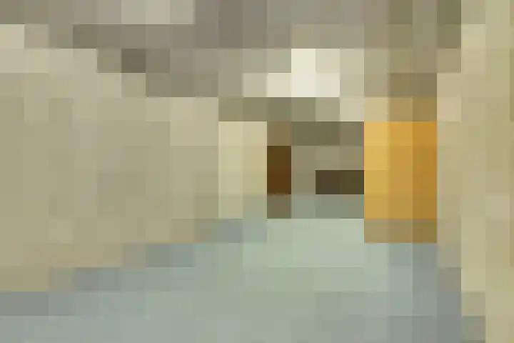 Helenaveenseweg 69 Grashoek thumbnail 30