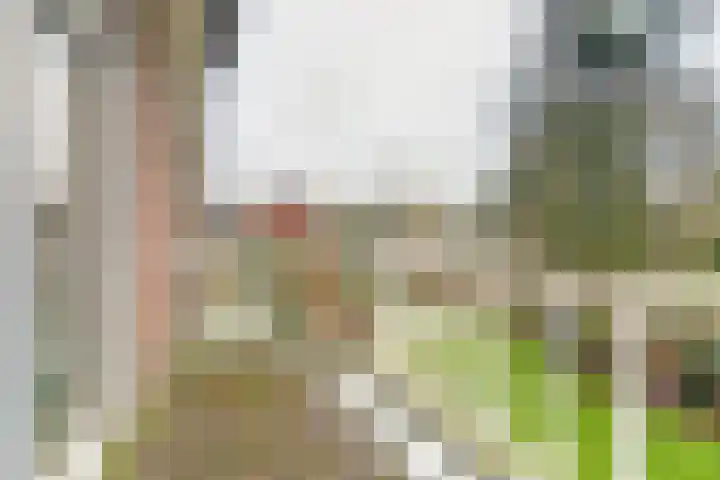 Helenaveenseweg 69 Grashoek thumbnail 38
