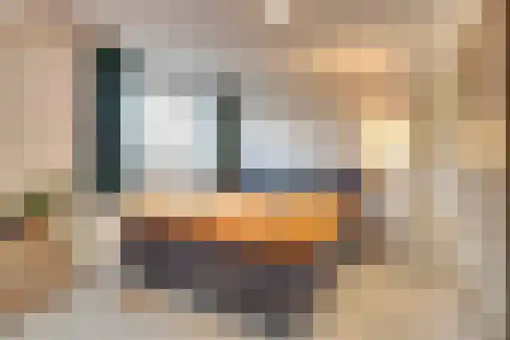 Helenaveenseweg 69 Grashoek thumbnail 40