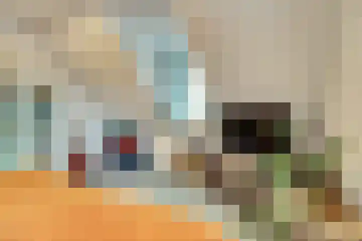 Helenaveenseweg 69 Grashoek thumbnail 41
