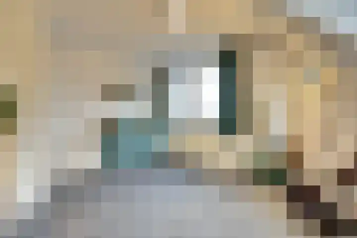 Helenaveenseweg 69 Grashoek thumbnail 43