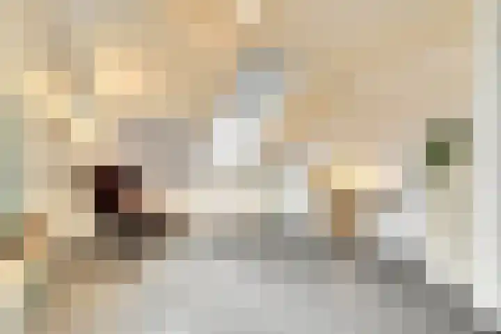Helenaveenseweg 69 Grashoek thumbnail 44