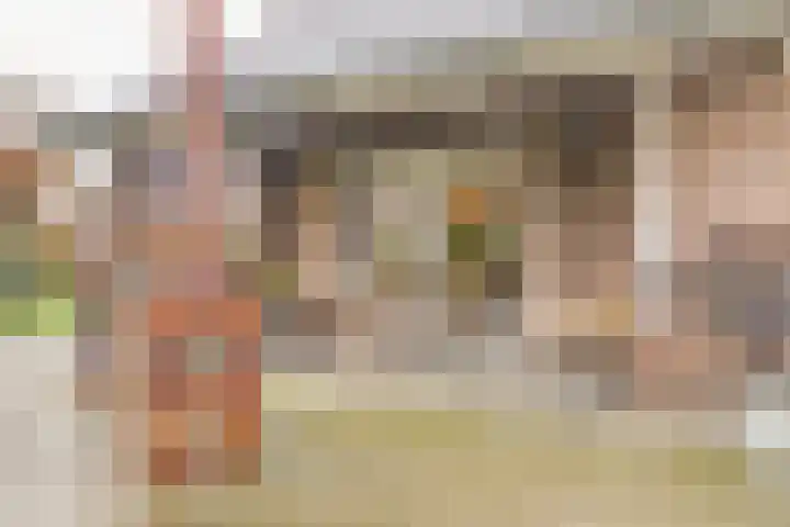 Helenaveenseweg 69 Grashoek thumbnail 49