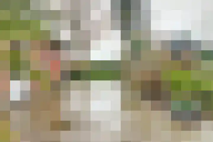 Helenaveenseweg 69 Grashoek thumbnail 50