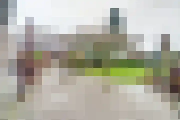 Helenaveenseweg 69 Grashoek thumbnail 51