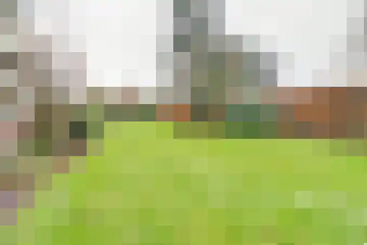 Helenaveenseweg 69 Grashoek thumbnail 53