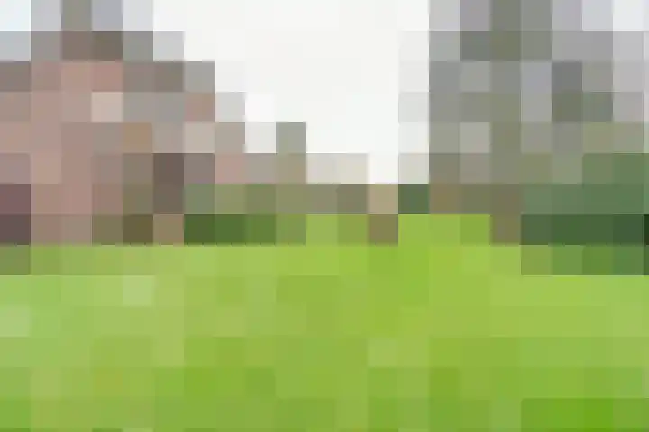 Helenaveenseweg 69 Grashoek thumbnail 54