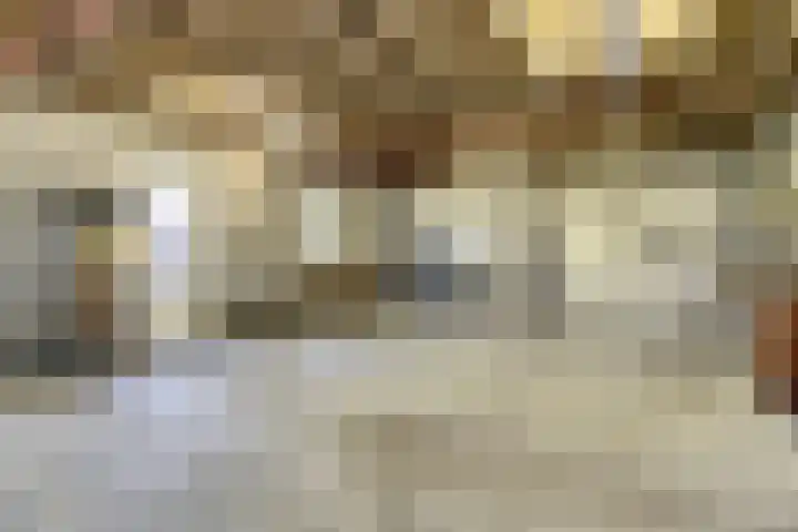 Helenaveenseweg 69 Grashoek thumbnail 59