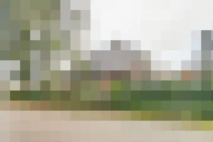 Helenaveenseweg 69 Grashoek thumbnail 60