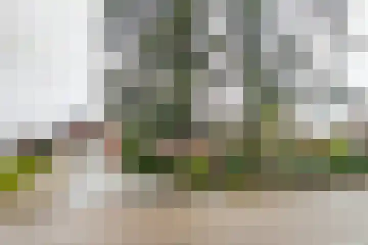 Helenaveenseweg 69 Grashoek thumbnail 61
