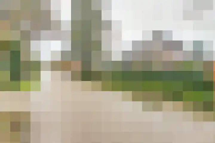 Helenaveenseweg 69 Grashoek thumbnail 62