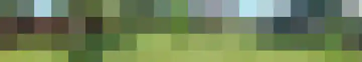 Helenaveenseweg 69 Grashoek thumbnail 63