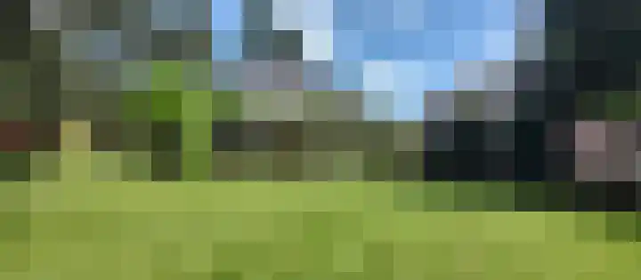 Helenaveenseweg 69 Grashoek thumbnail 64