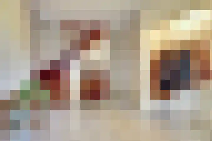 Helenaveenseweg 69 Grashoek thumbnail 8
