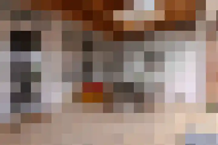 Hélène Schoenmaeckersstraat 21 Maastricht thumbnail 35