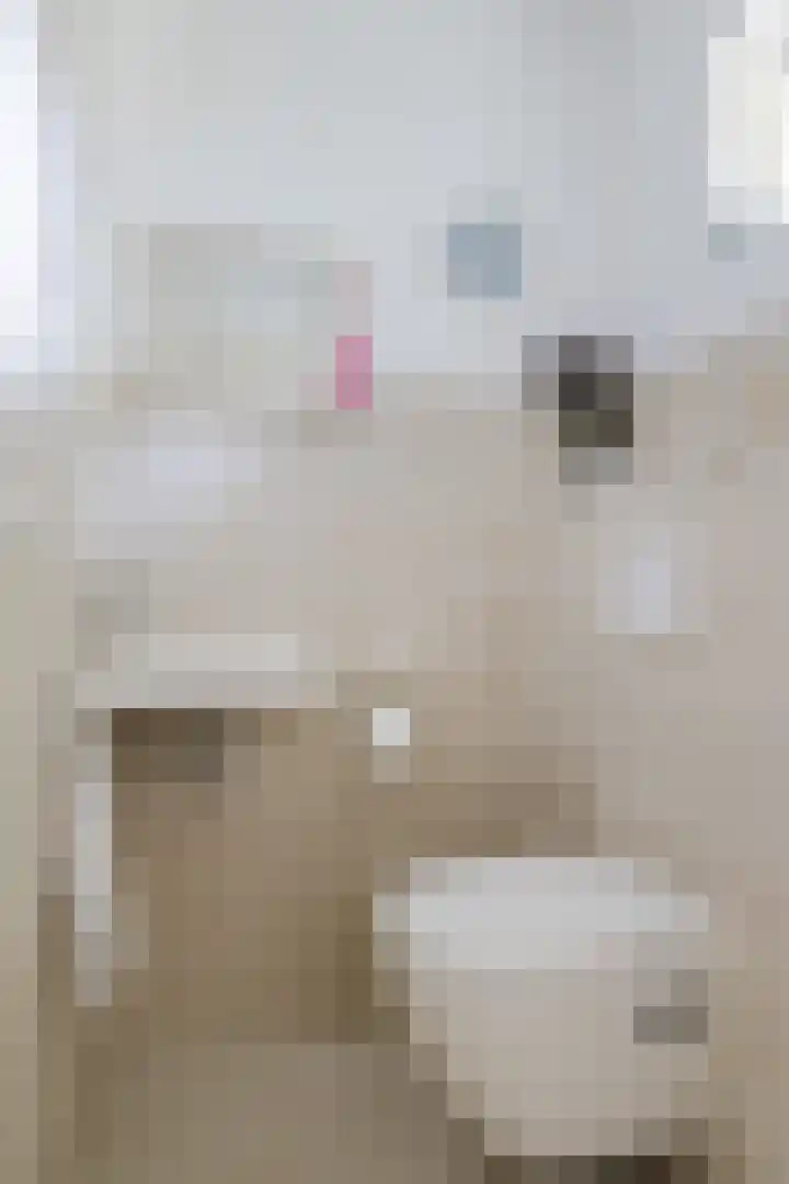 Hélène Swarthdreef 8 Goirle thumbnail 13