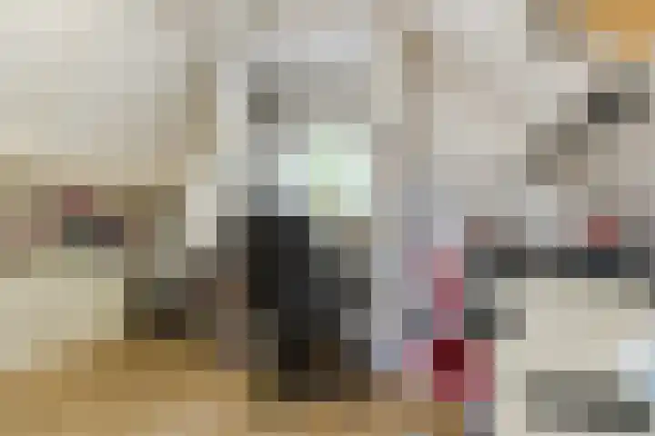 Hélène Swarthdreef 8 Goirle thumbnail 17
