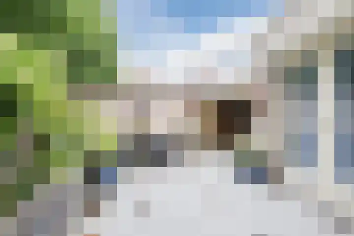 Hélène Swarthdreef 8 Goirle thumbnail 19