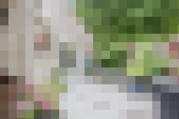 Hélène Swarthdreef 8 Goirle thumbnail 20