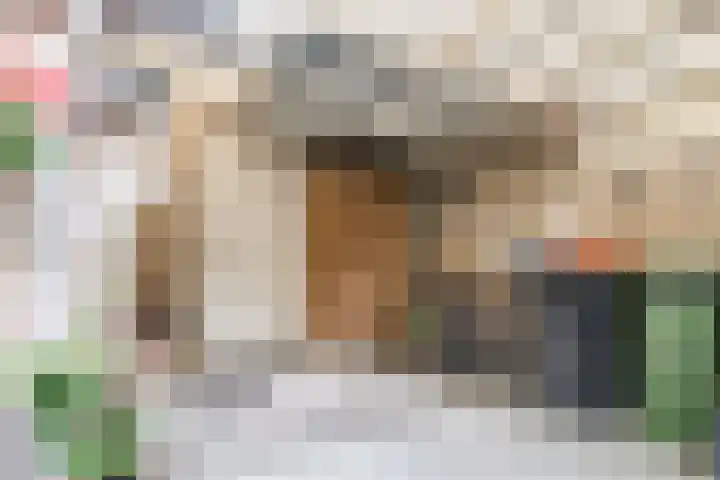 Hélène Swarthdreef 8 Goirle thumbnail 21