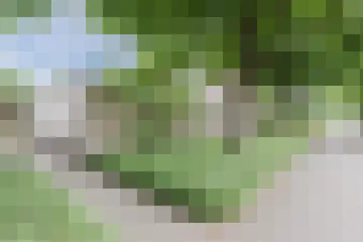 Hélène Swarthdreef 8 Goirle thumbnail 22
