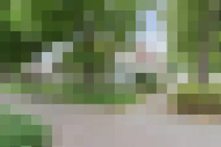 Hélène Swarthdreef 8 Goirle thumbnail 24