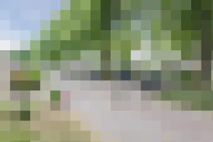 Hélène Swarthdreef 8 Goirle thumbnail 25