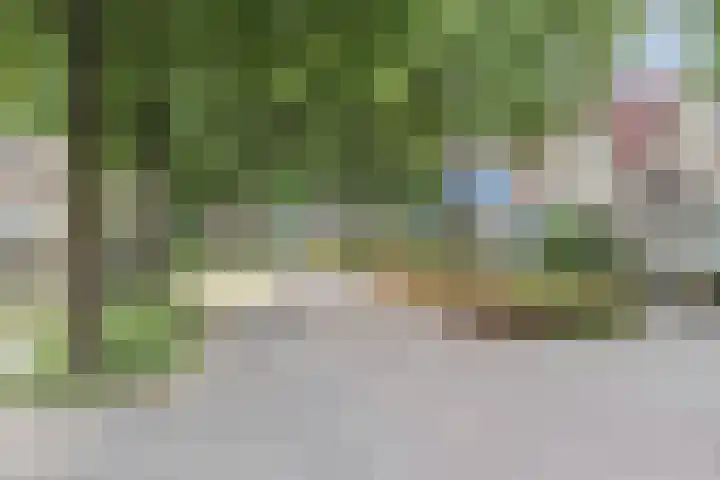 Hélène Swarthdreef 8 Goirle thumbnail 26