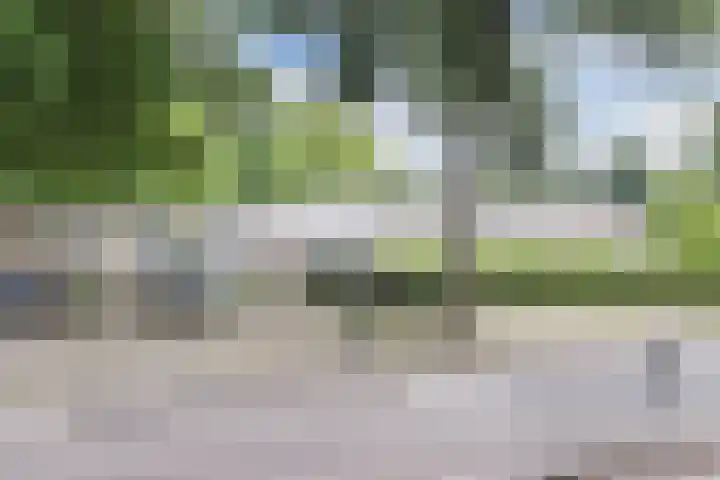 Hélène Swarthdreef 8 Goirle thumbnail 27