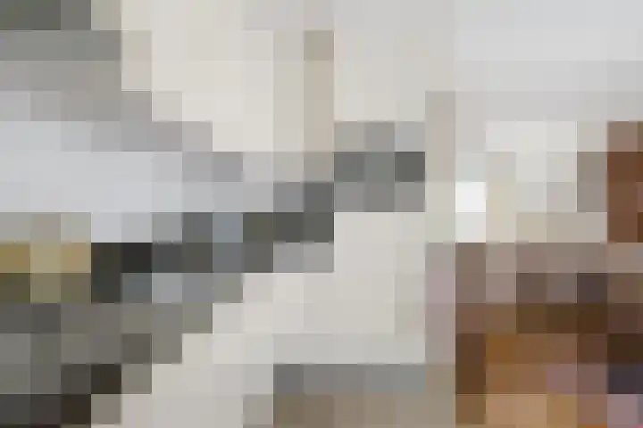Hélène Swarthdreef 8 Goirle thumbnail 5