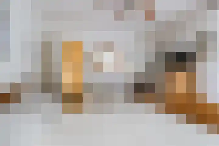 Hélène Swarthdreef 8 Goirle thumbnail 7