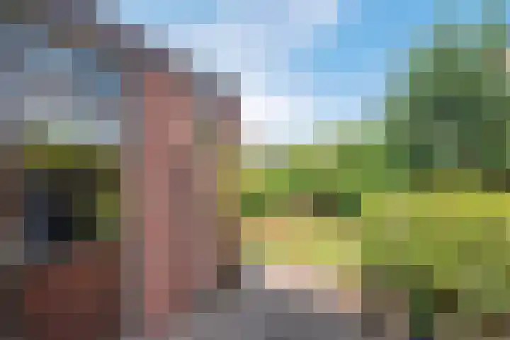 Hélène Swarthlaan 3 Hillegom thumbnail 11