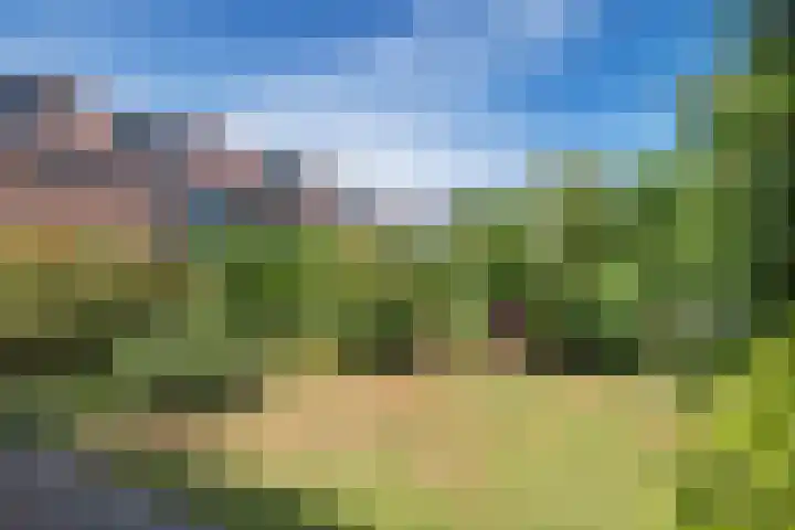 Hélène Swarthlaan 3 Hillegom thumbnail 12