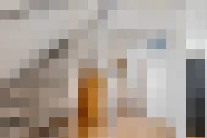 Hélène Swarthlaan 3 Hillegom thumbnail 17