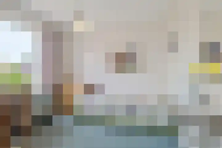 Hélène Swarthlaan 3 Hillegom thumbnail 27