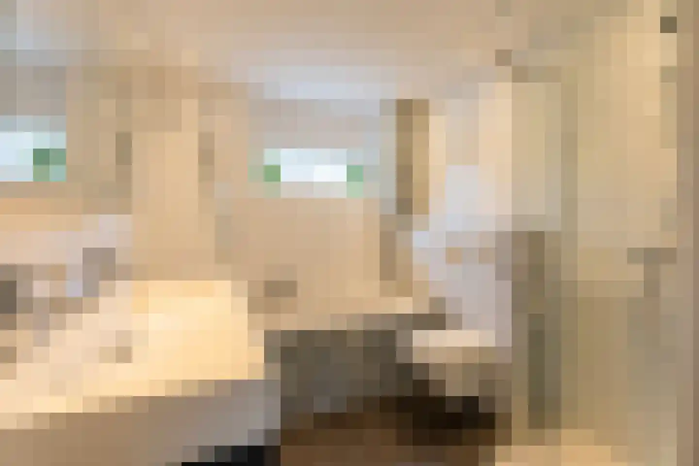 Hélène Swarthlaan 3 Oegstgeest thumbnail 21