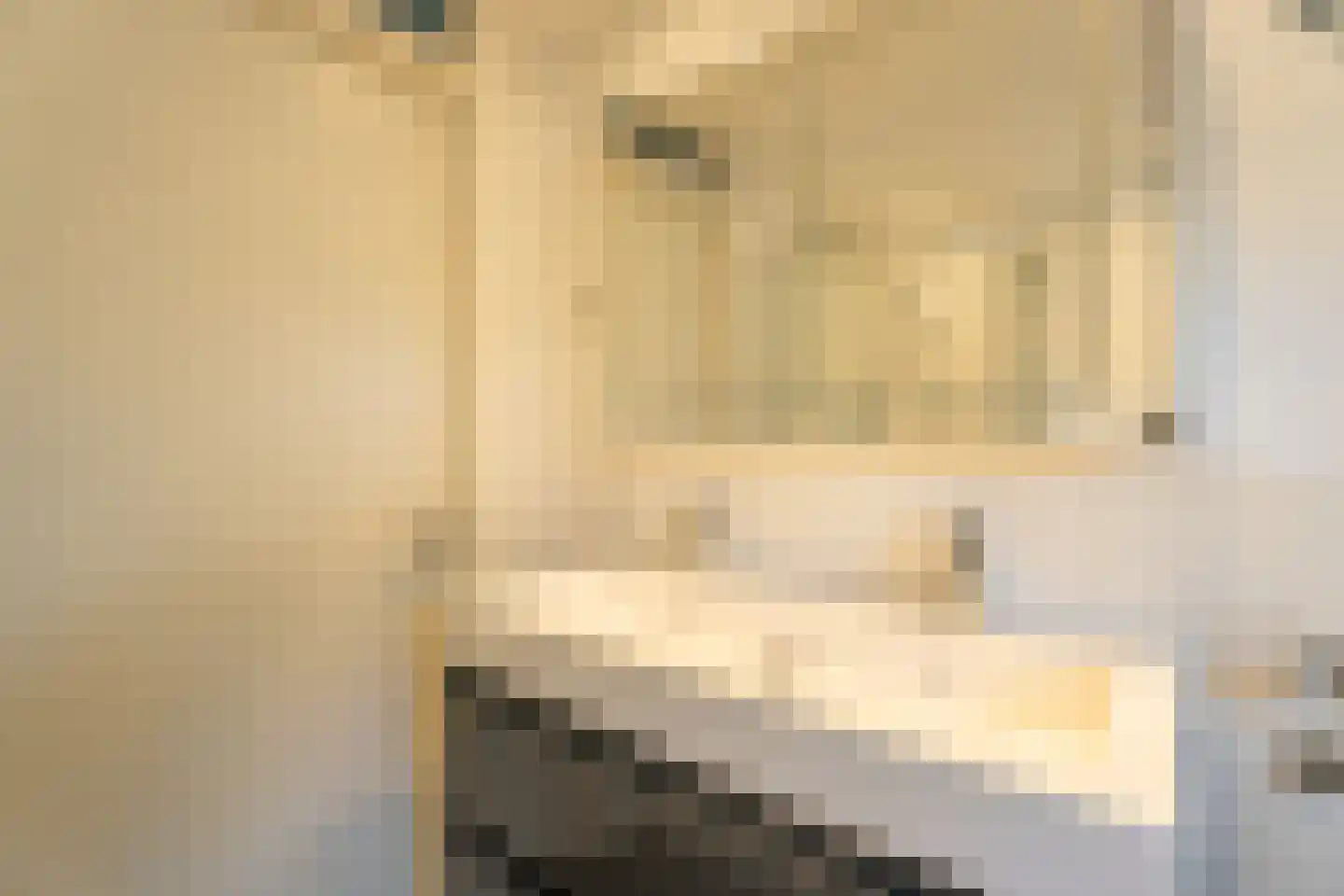 Hélène Swarthlaan 3 Oegstgeest thumbnail 22