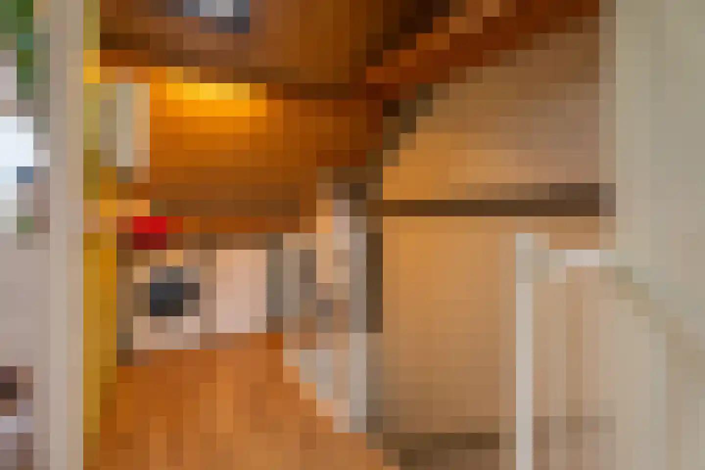 Hélène Swarthlaan 3 Oegstgeest thumbnail 30